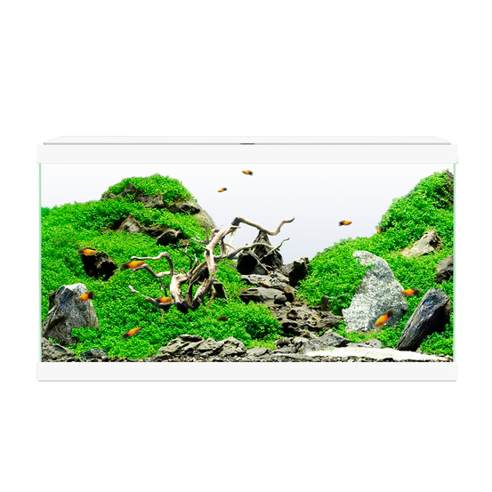 Aquarium Ciano - 58 Litres