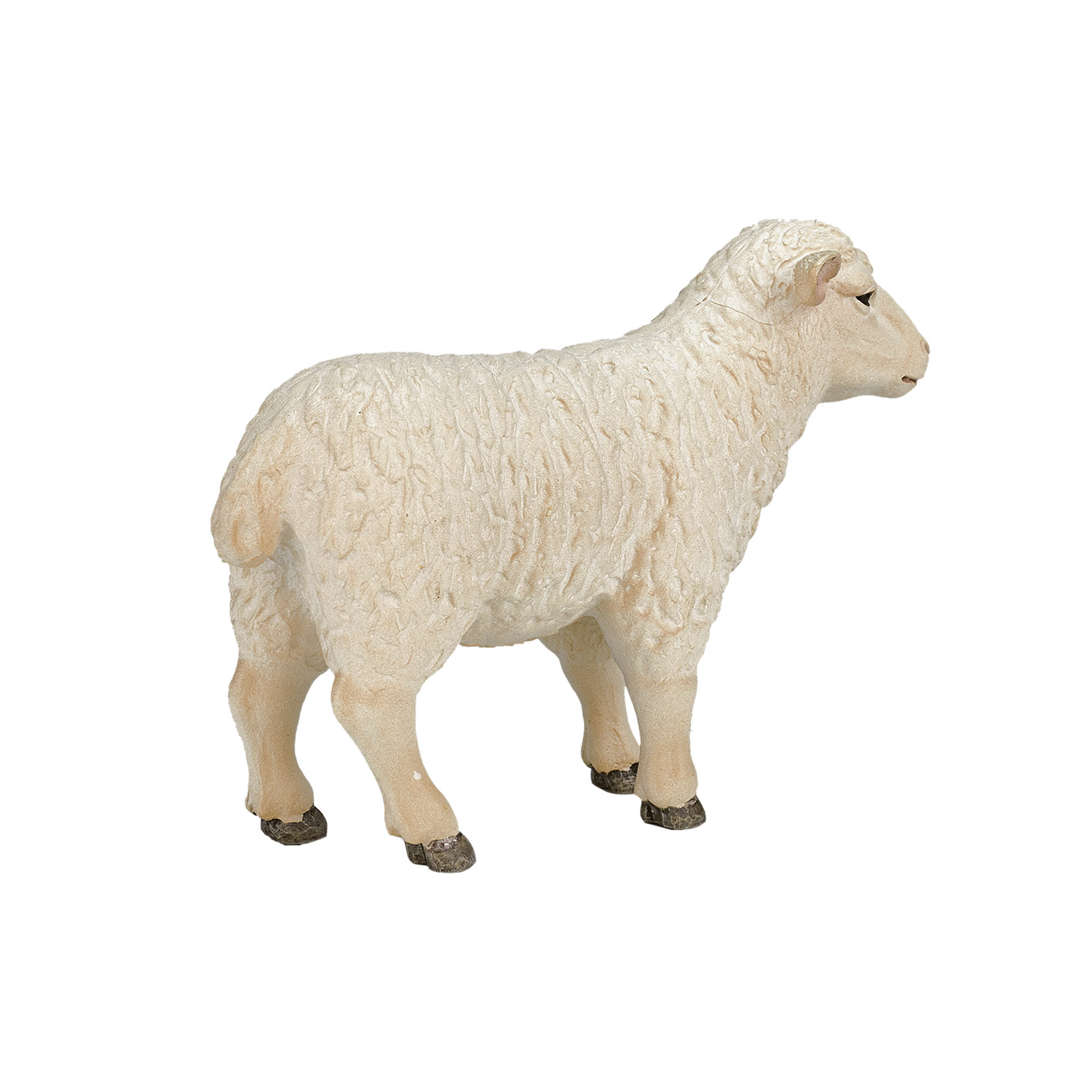 Mojo Farmland Schaap Ooi - 387096