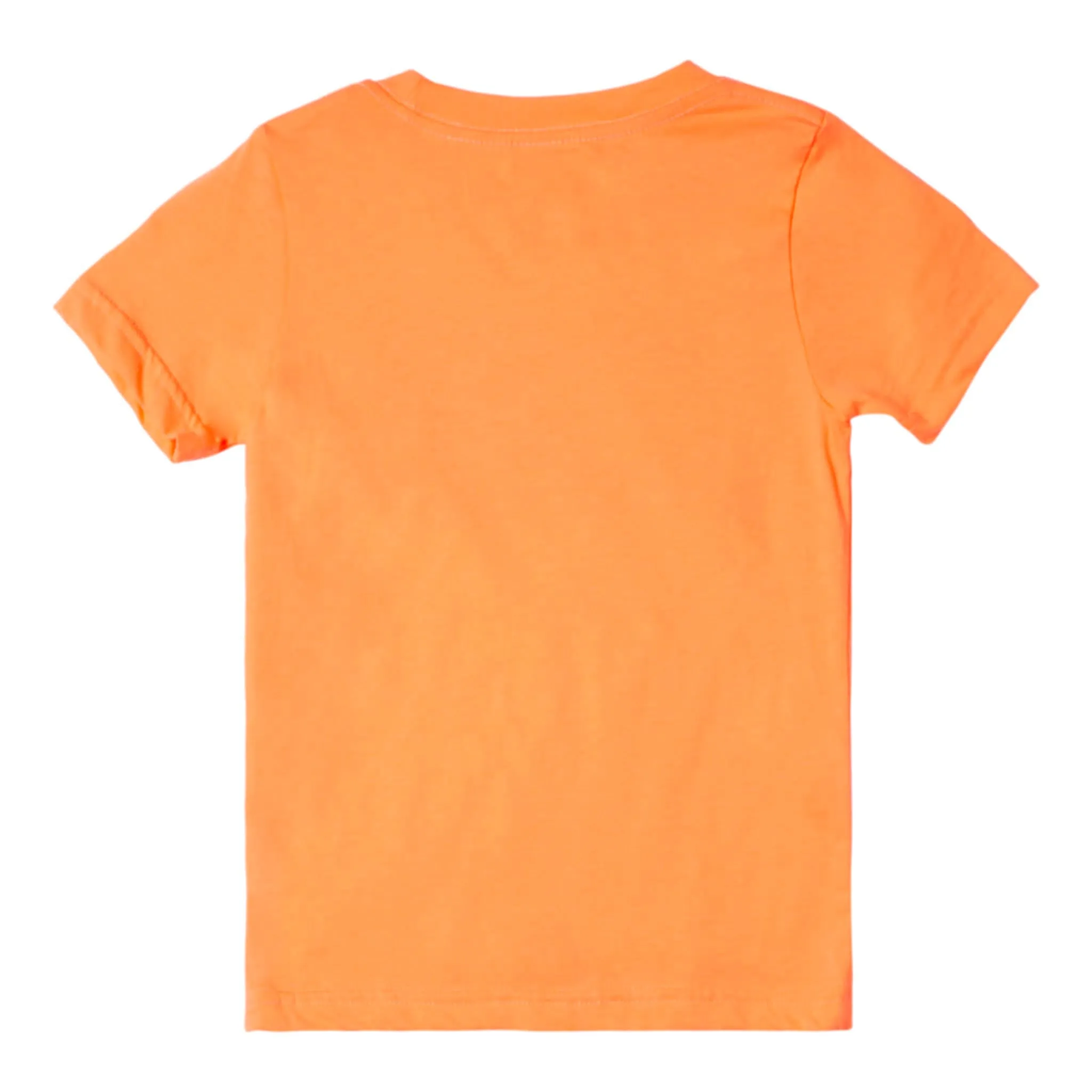 Quiksilver T-shirt Day Tripper 2-7ans