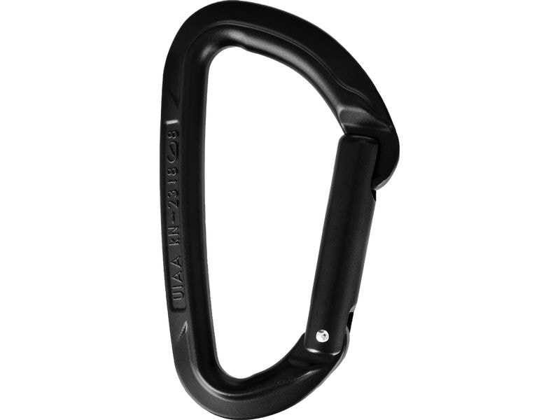 Wild Country Carabiner Session Straight Gate Schwarz Karabiner mit geradem Schnapper