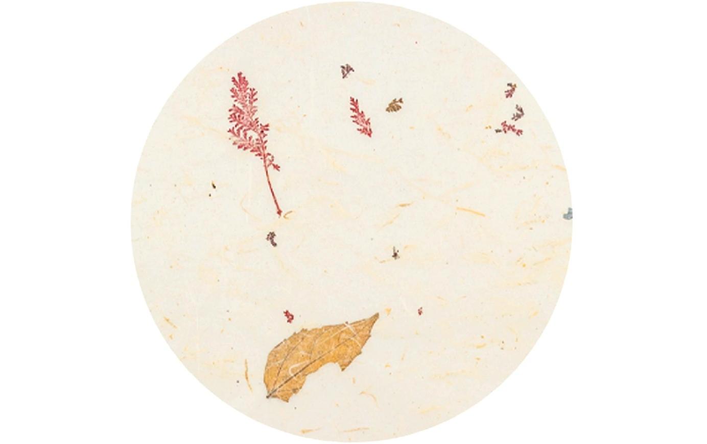 Bastelpapier Natur LeavesPapier zum Basteln