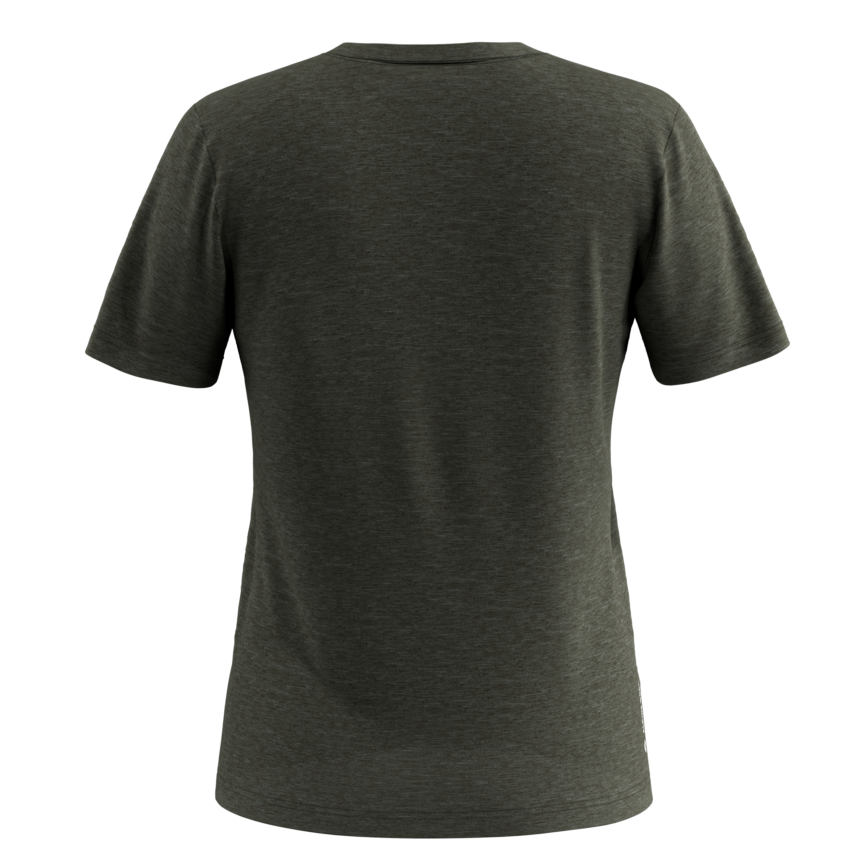 Salewa Eagle Eitd Merino T-shirt W`s