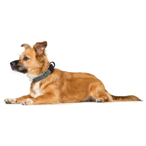 Hunter - Halsung Maldon - Collier pour chien