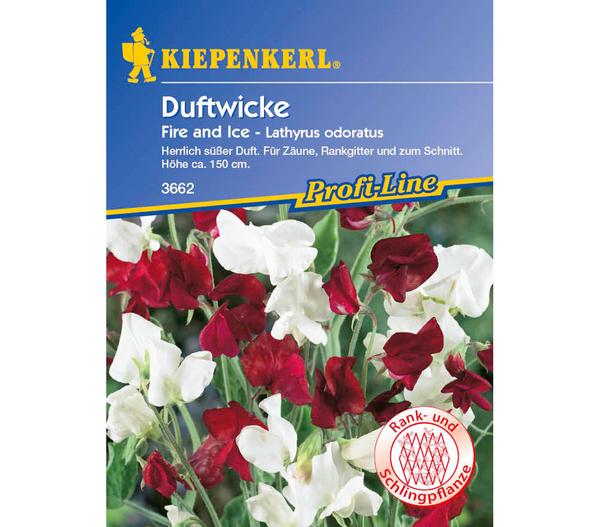 Kiepenkerl Saatgut Duftwicke Fire and Ice