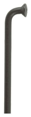 Rayon coudé DT Swiss champion m 2x254 mm inoxydable