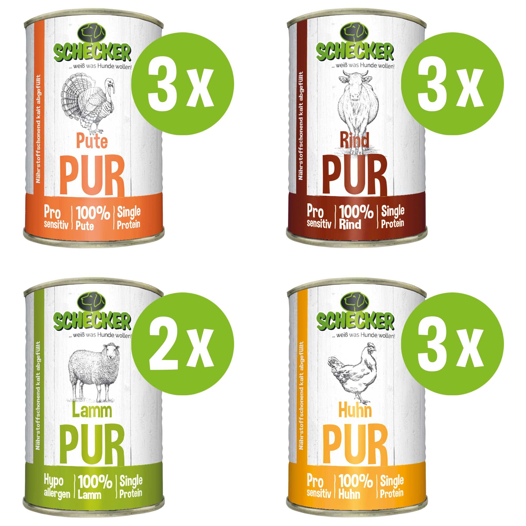 Schecker Nassfutter - Pur 11-er - Test the Best