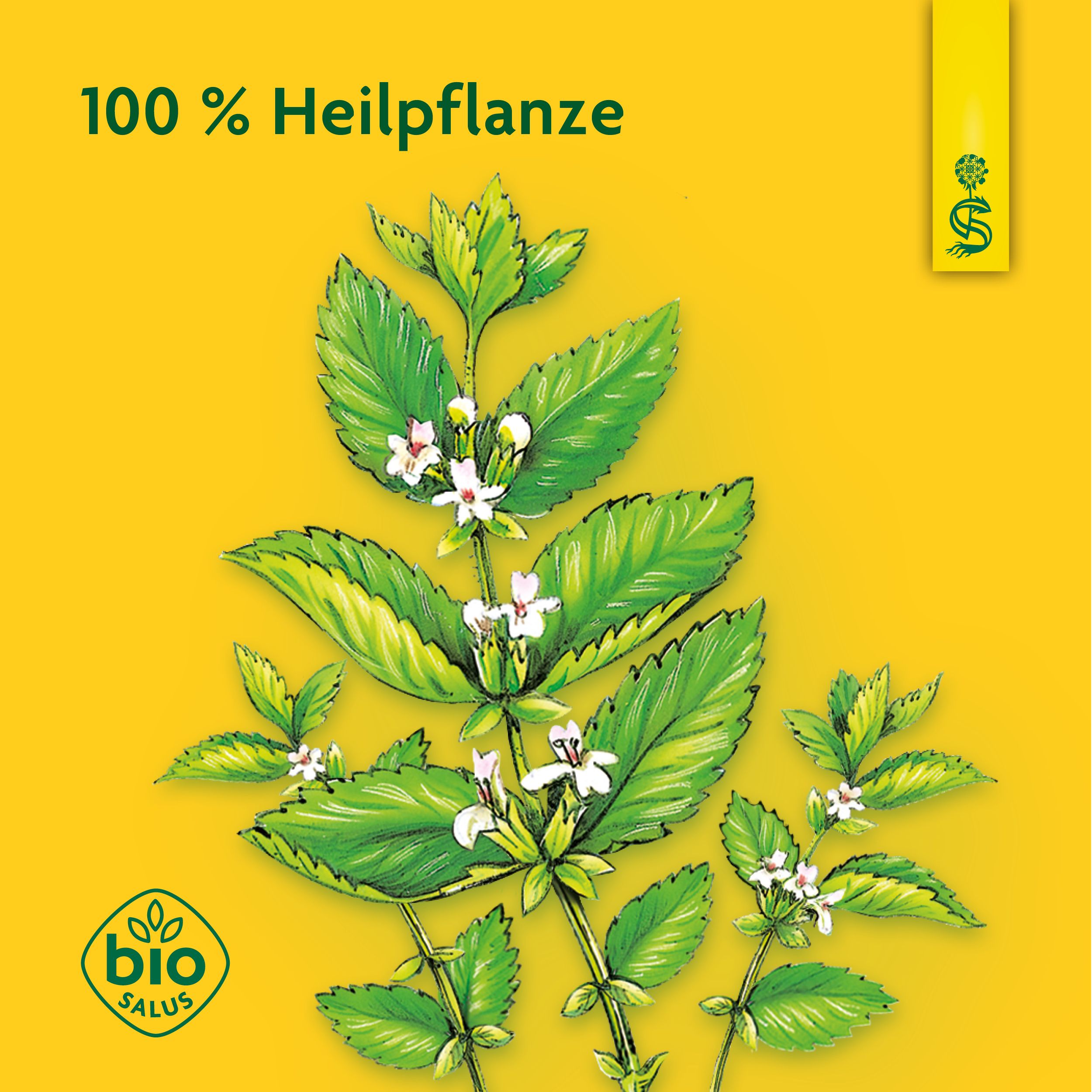 Schoenenberger® naturreiner Heilpflanzensaft Melisse