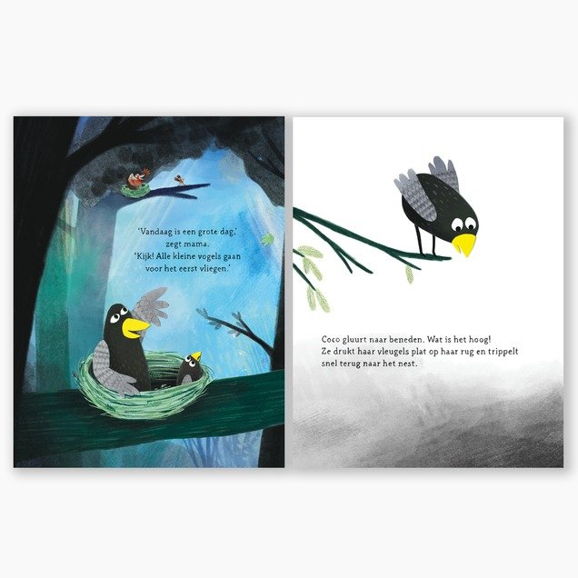 Kinderboek | Coco kan het!