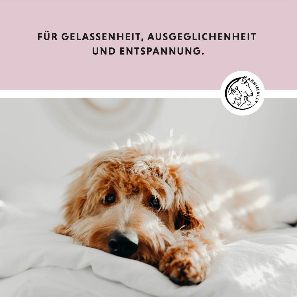 Annimally Relax Tabletten
