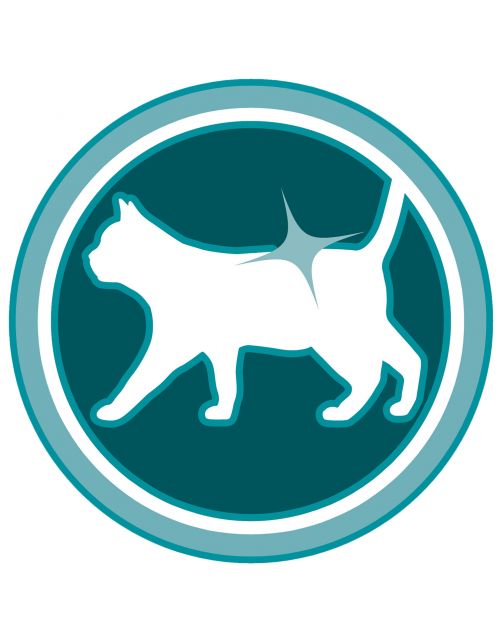 Purina One Adult Zalm&Granen - Kattenvoer