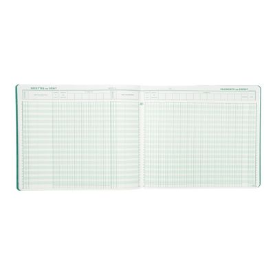 Exacompta - Piqûre Journal de caisse ou banque - 2 libellés : 6 crédits/13 débits - 27 x 32 cm