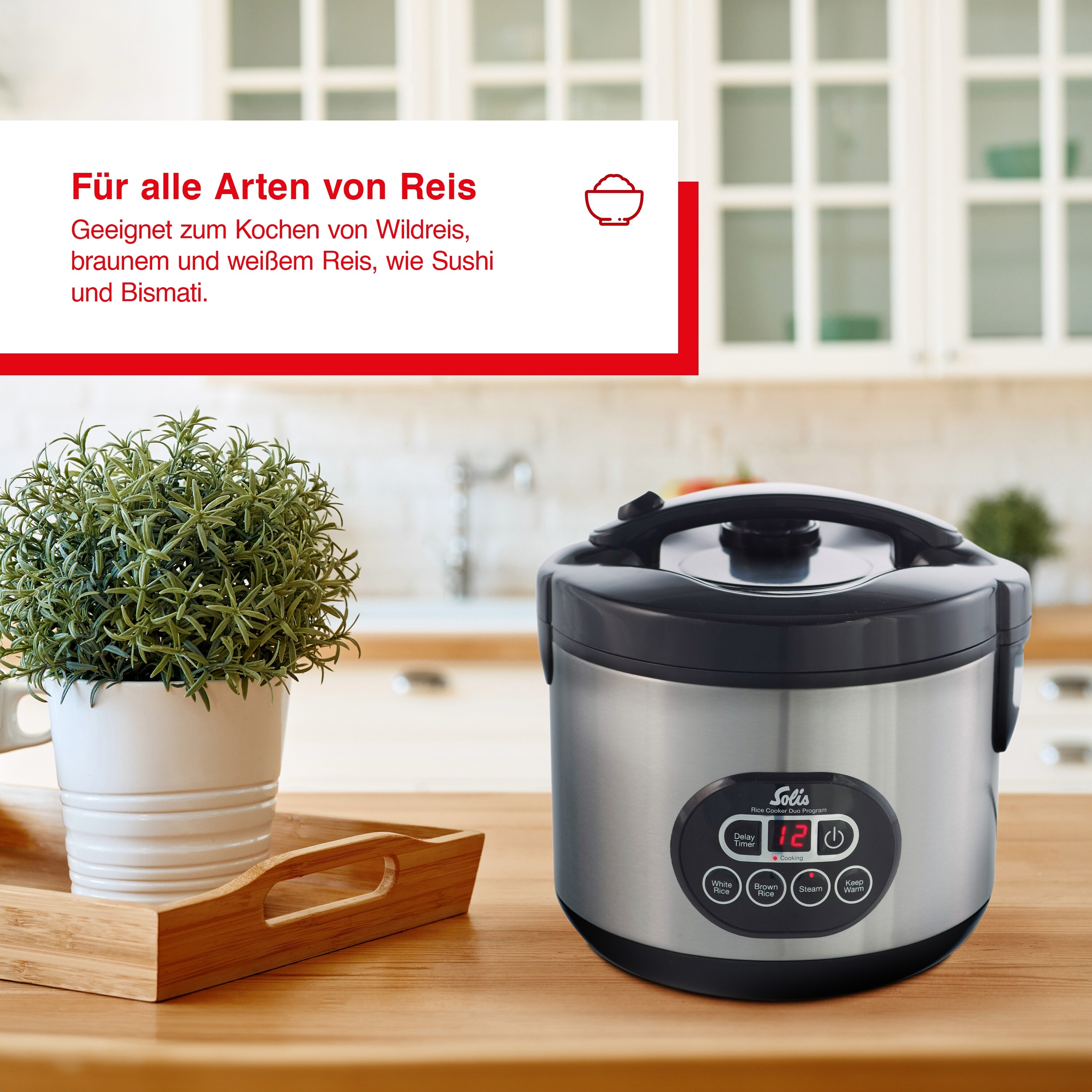 Solis Reiskocher & Dampfgarer 500 W, 1,2L Volumen, Timer, Beschichtung