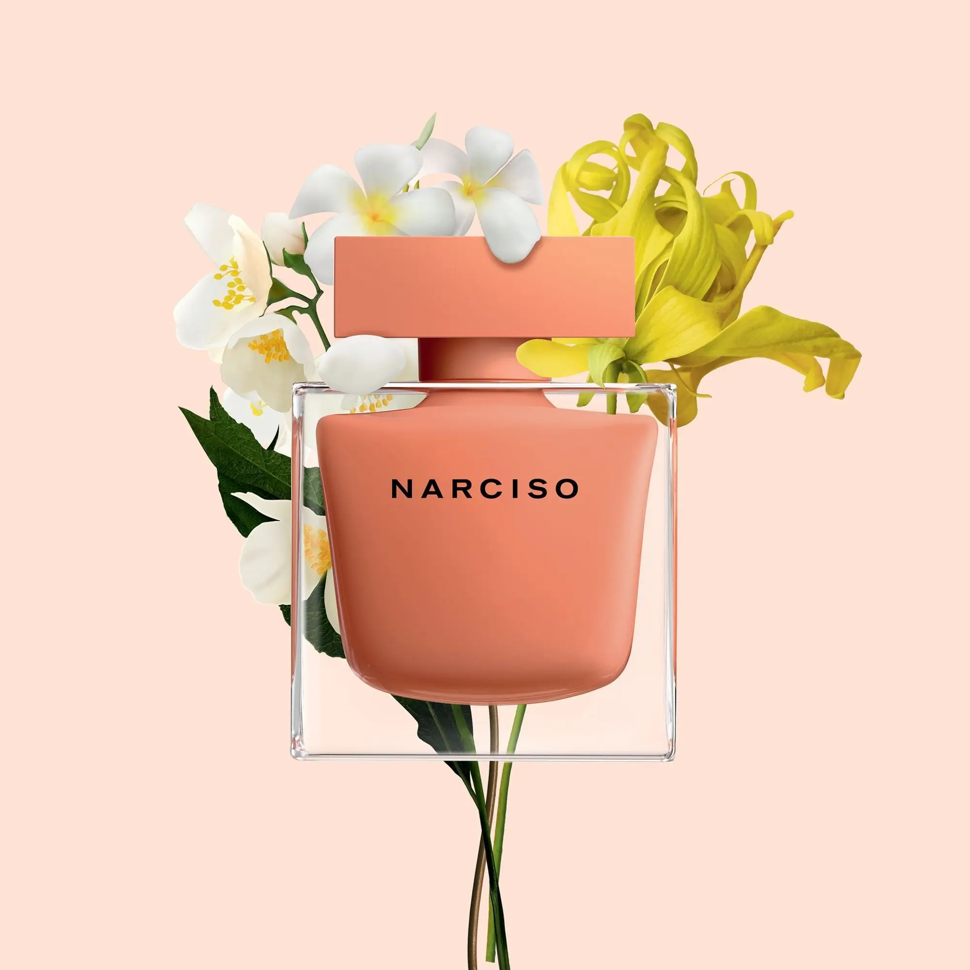 Narciso Rodriguez - NARCISO Eau de Parfum Ambrée- Eau de parfum