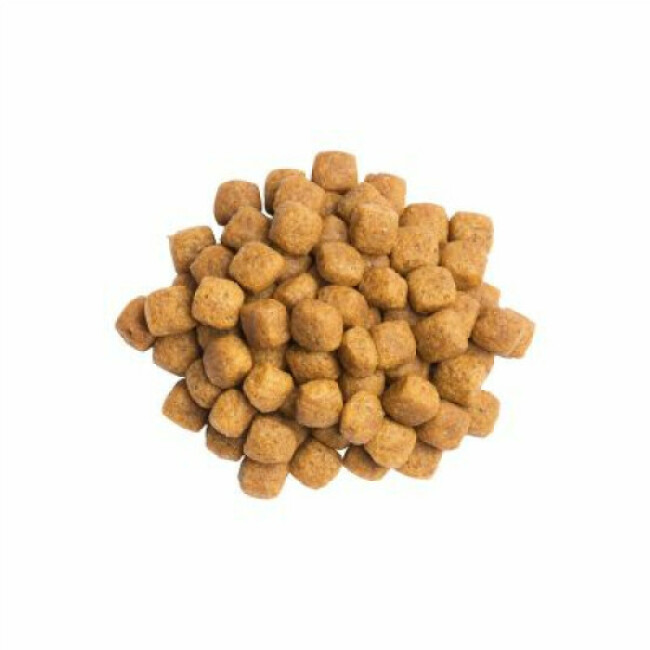 Pro Plan Urinary Veterinary Diet UR St/Ox pour chats