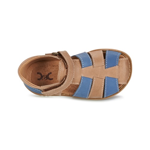 Citrouille et Compagnie - FRINOUI - Marron / Bleu