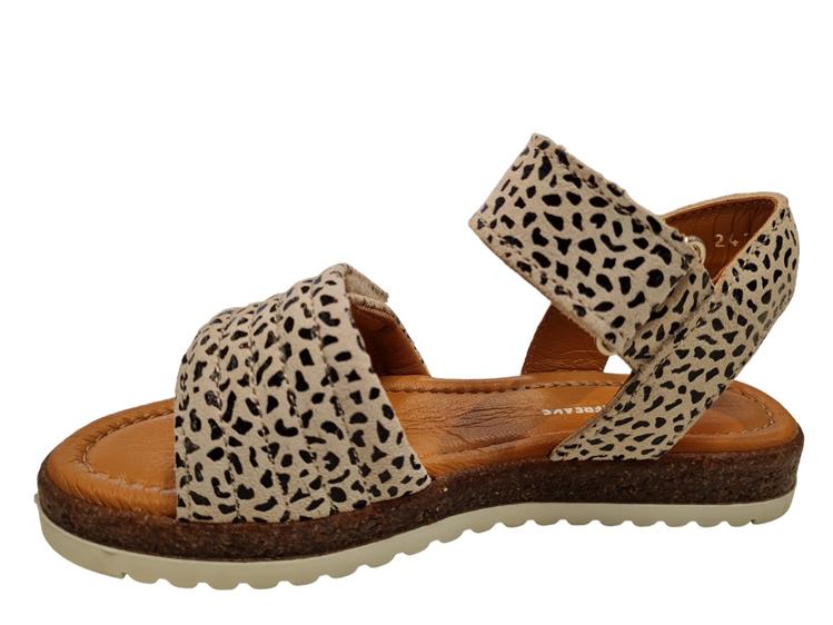 Jochie & Freaks 24724 Daisy 866 Leopard