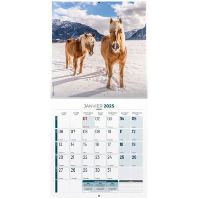 Calendrier illustré BOUCHUT 30 x 30 cm CHEVAL 70 %