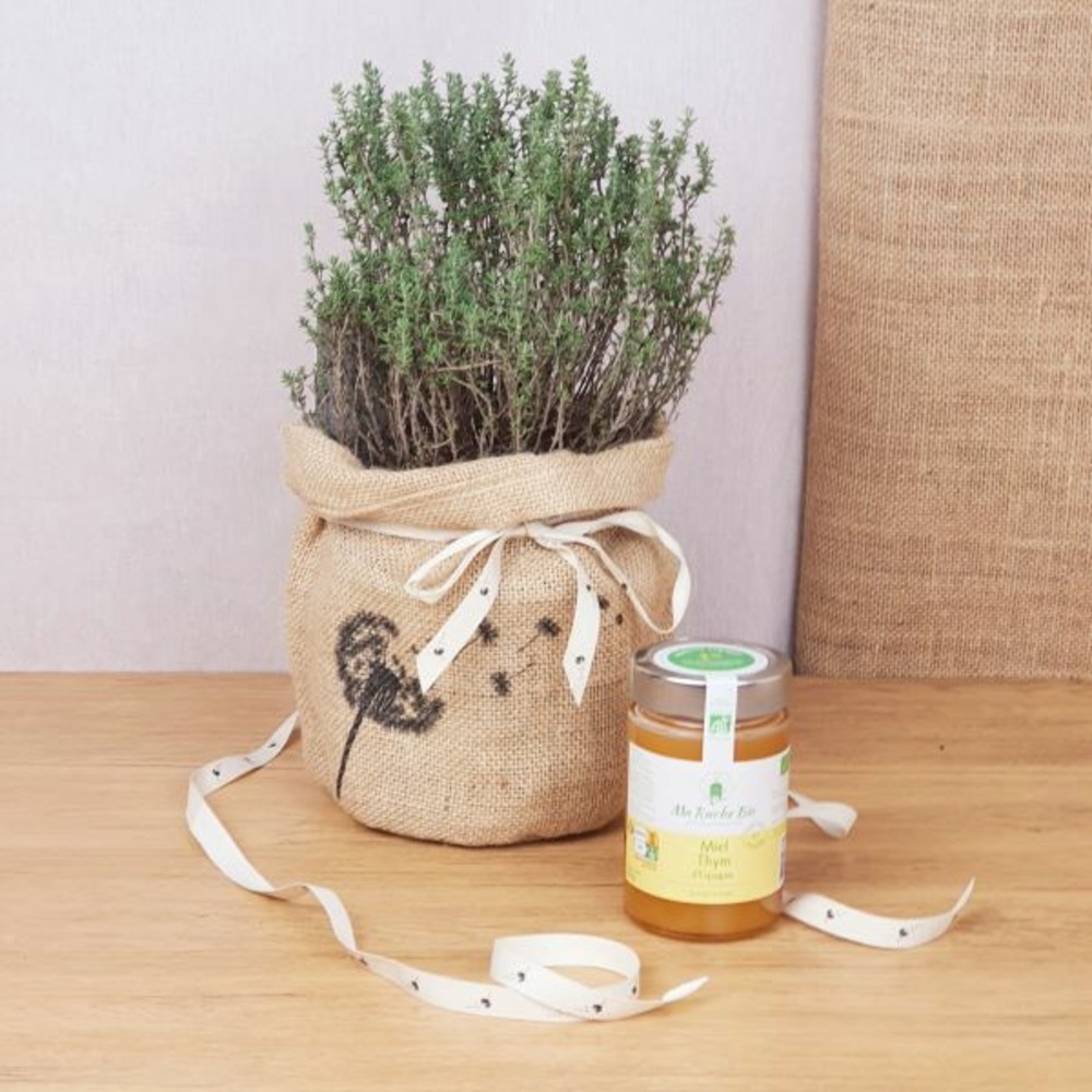 Coffret d'une plante du thym, symbole d'amour durable, et son miel de thym bio