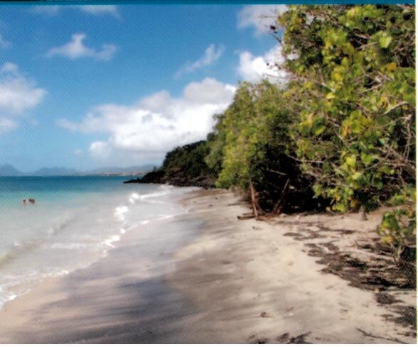 EDITIONS DAKOTA - MARTINIQUE ENTRE TERRE ET MER