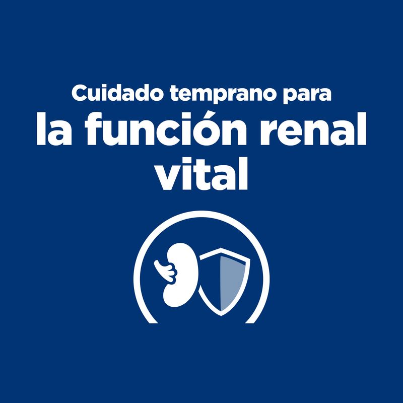Ração Hill's Prescription Diet Kidney Care k/d para cães em estágio inicial