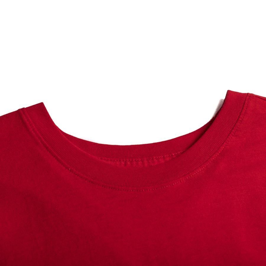 SK Brann Nike T-Shirt Bergens Stolthet Rouge