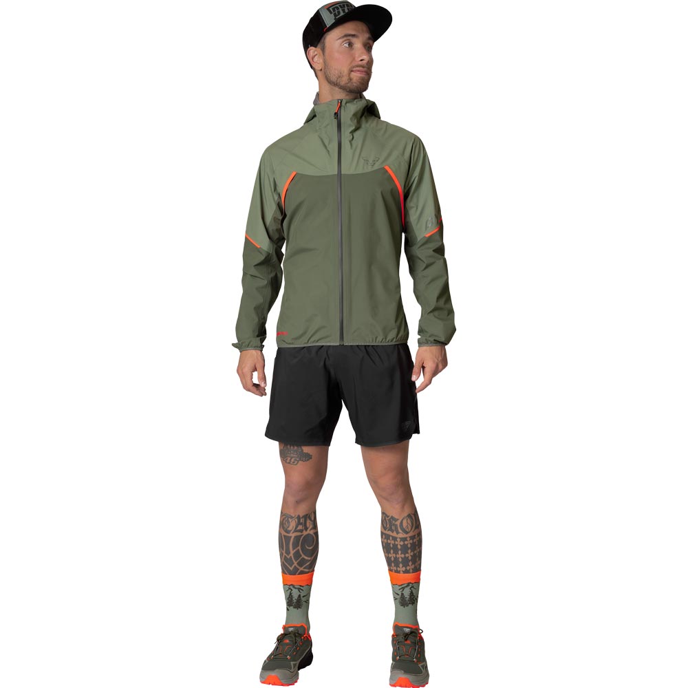 Dynafit Alpine GORE-TEX® Hardshelljacke Herren sage