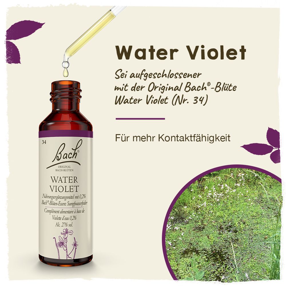 BACH®-BLÜTE WATER VIOLET (Sumpfwasserfeder)