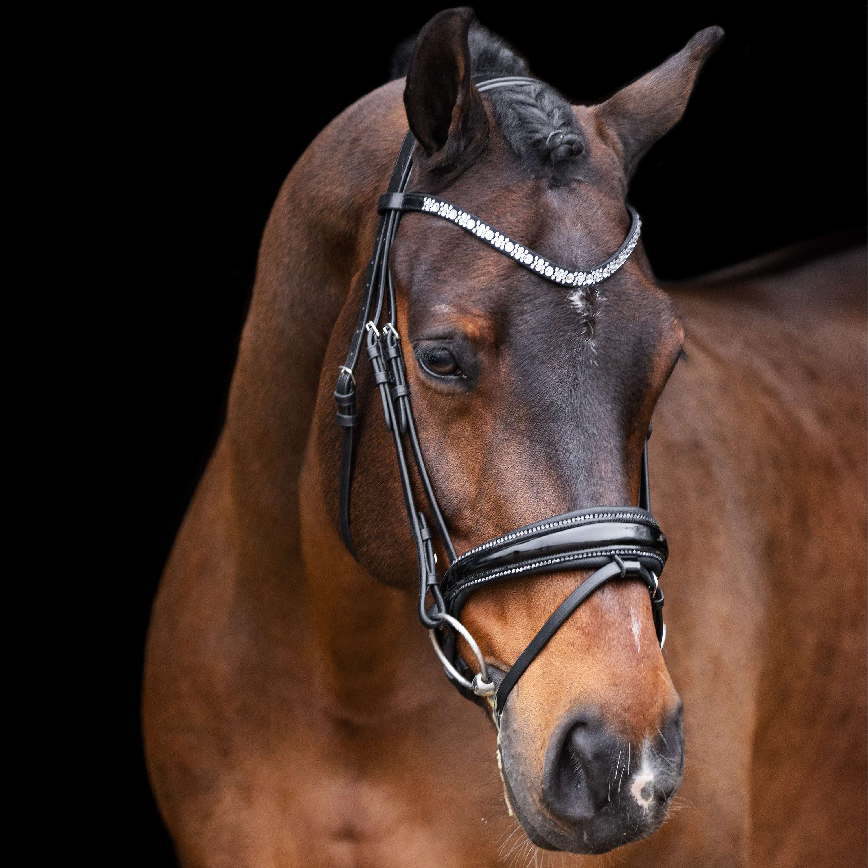 Imperial Riding Hoofdstel IRHOlympia Zwart/Zilver