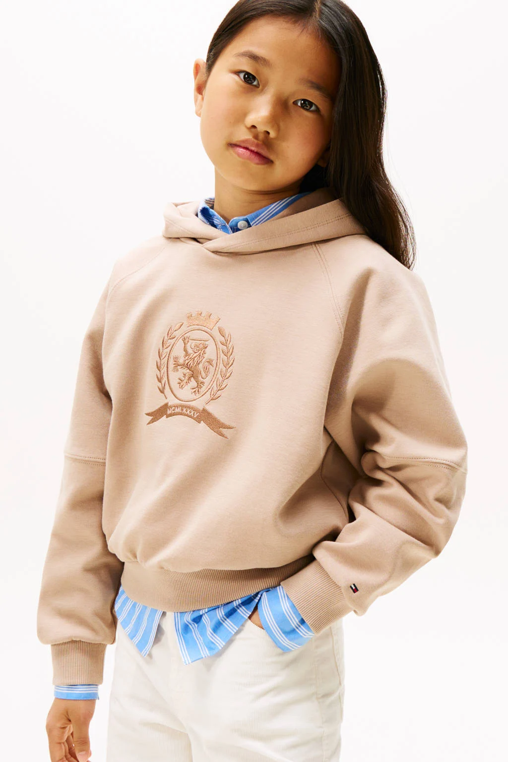 Tommy Hilfiger hoodie beige