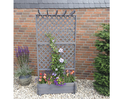 Houten trellisbak met pergola 102 x 65 x 200 cm grijs