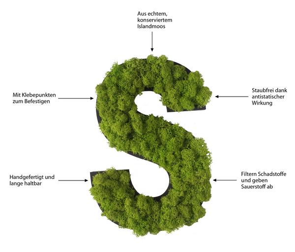 styleGREEN Buchstaben aus Islandmoos, ca. H25