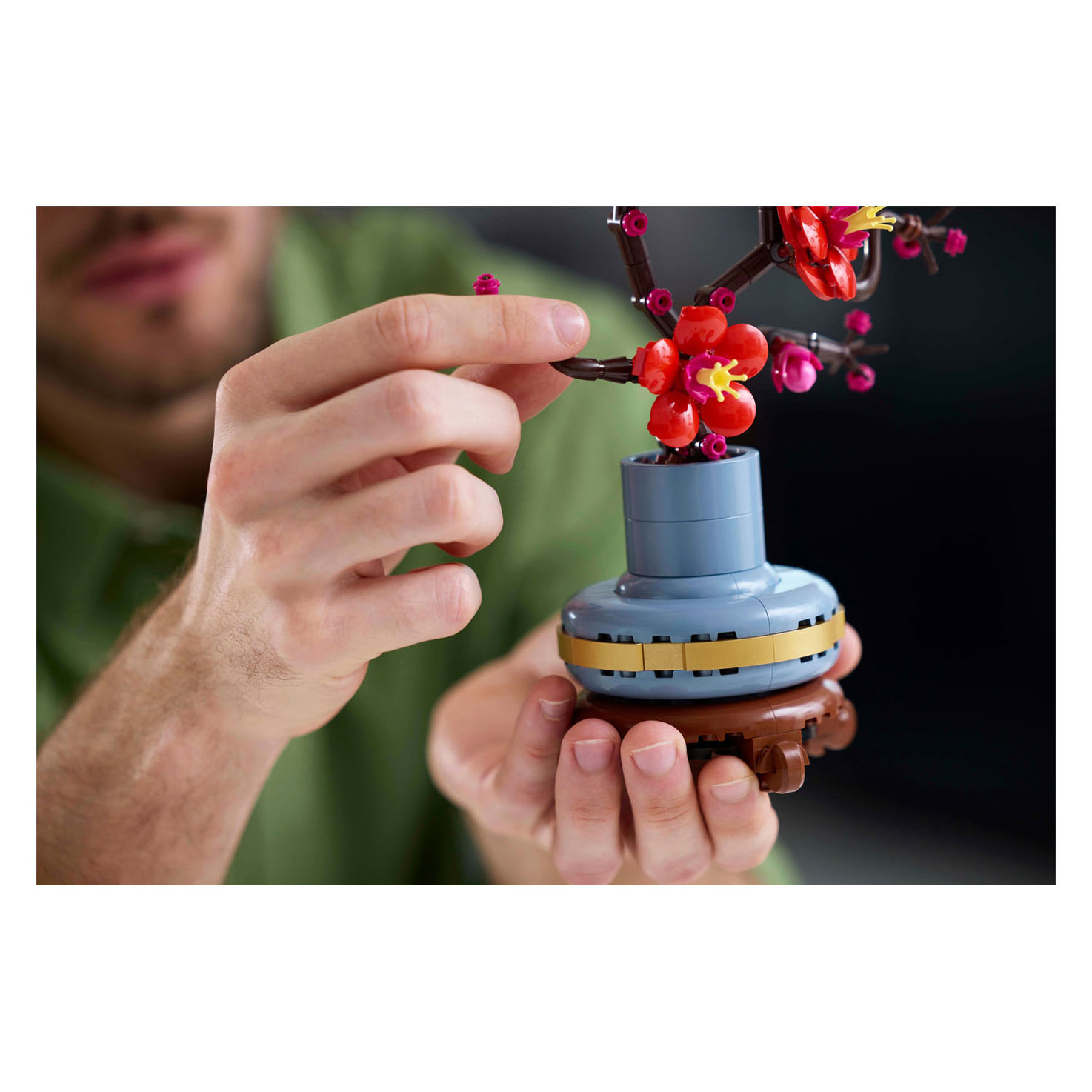 LEGO Botanicals 10369 Japanse Abrikoos
