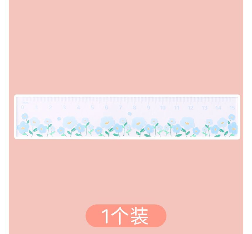 Hekki - Cartoon Acryl Liniaal (diverse designs) / Set
