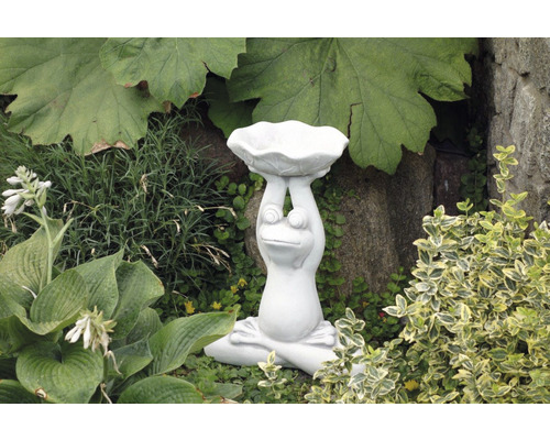 Witte betonnen kikkervogelbad