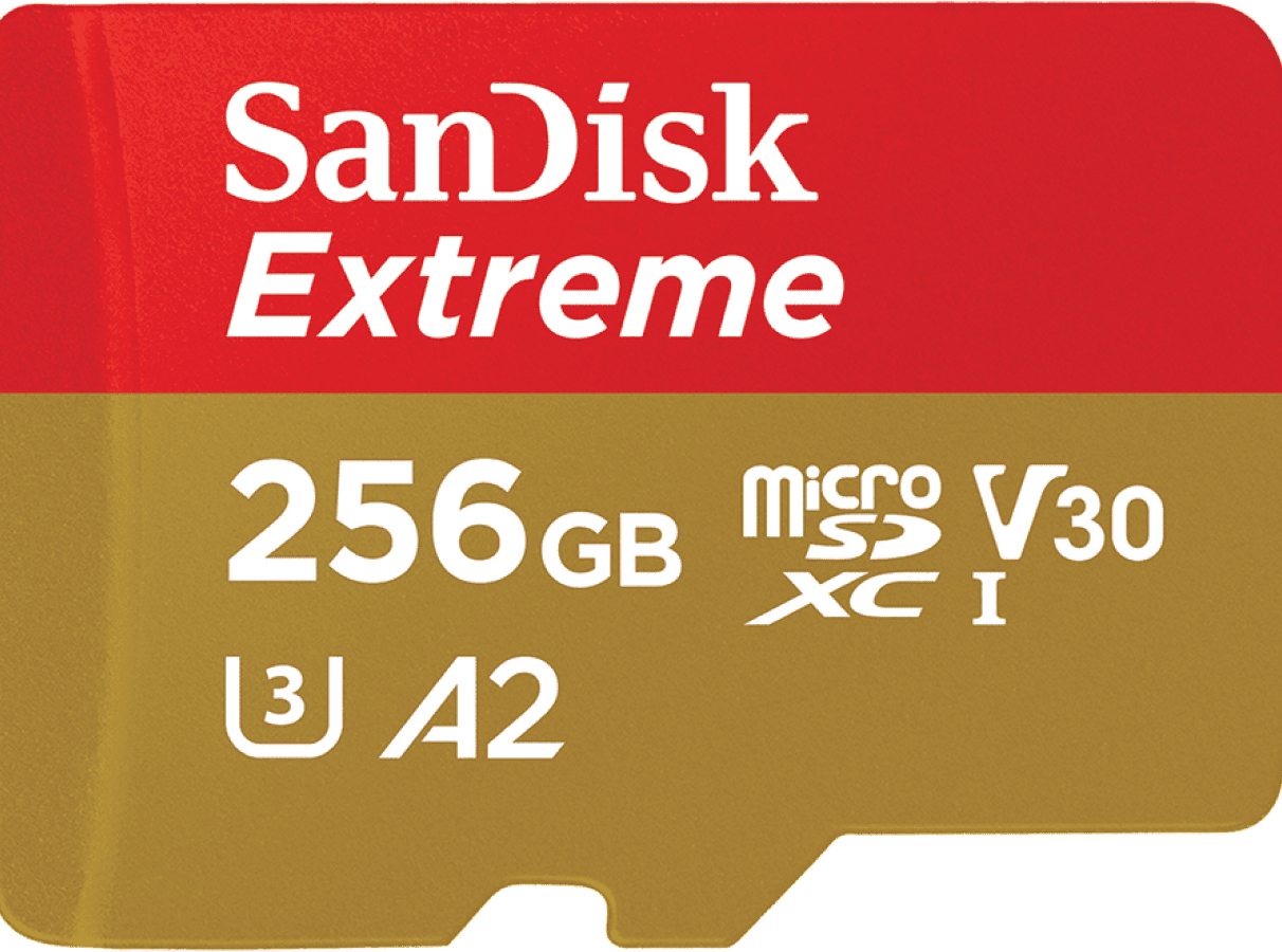 SanDisk Extreme 256GB microSDXC(Memory card for GoPro cameras)