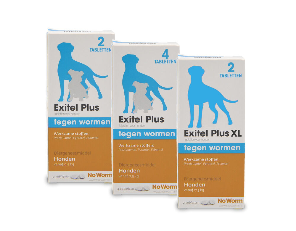 No Worm Exitel Plus Hond vanaf 0,5kg  Tabletten - Wormenmiddel - 4 Stuks - M