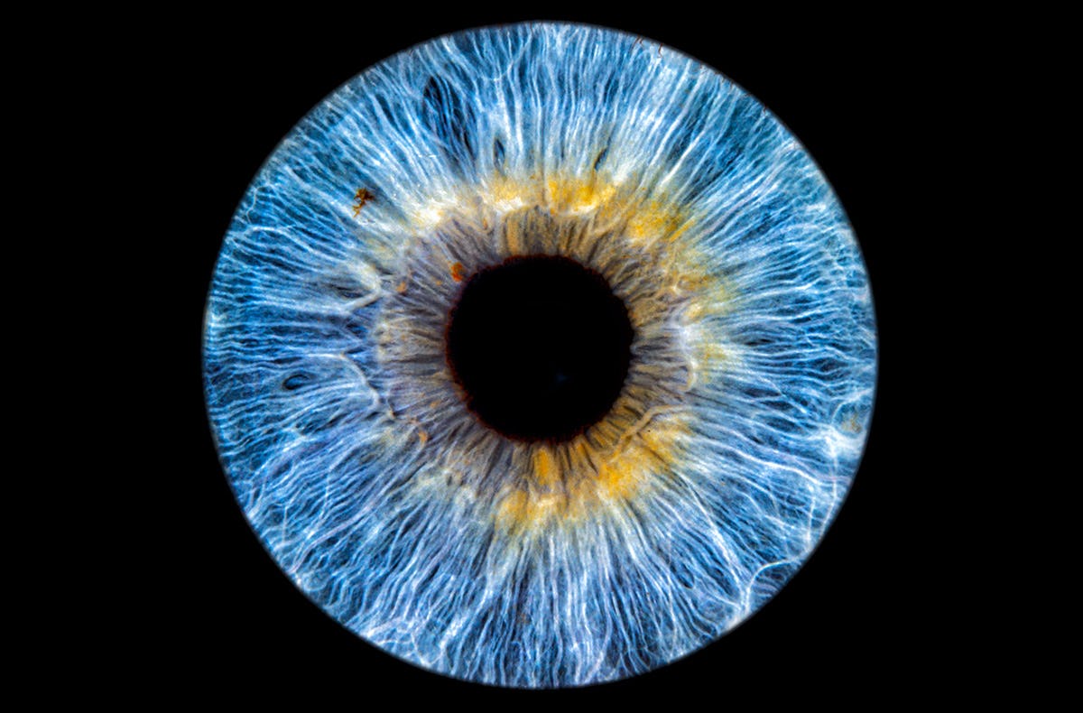 Iris Fotografie Hechingen
