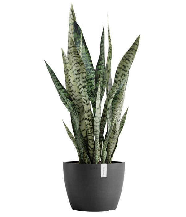 Ecopots Kunststoff-Topf Stockholm, rund