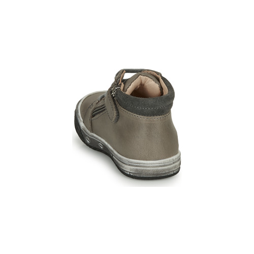 GBB - OLINOU - Gris / Ocre