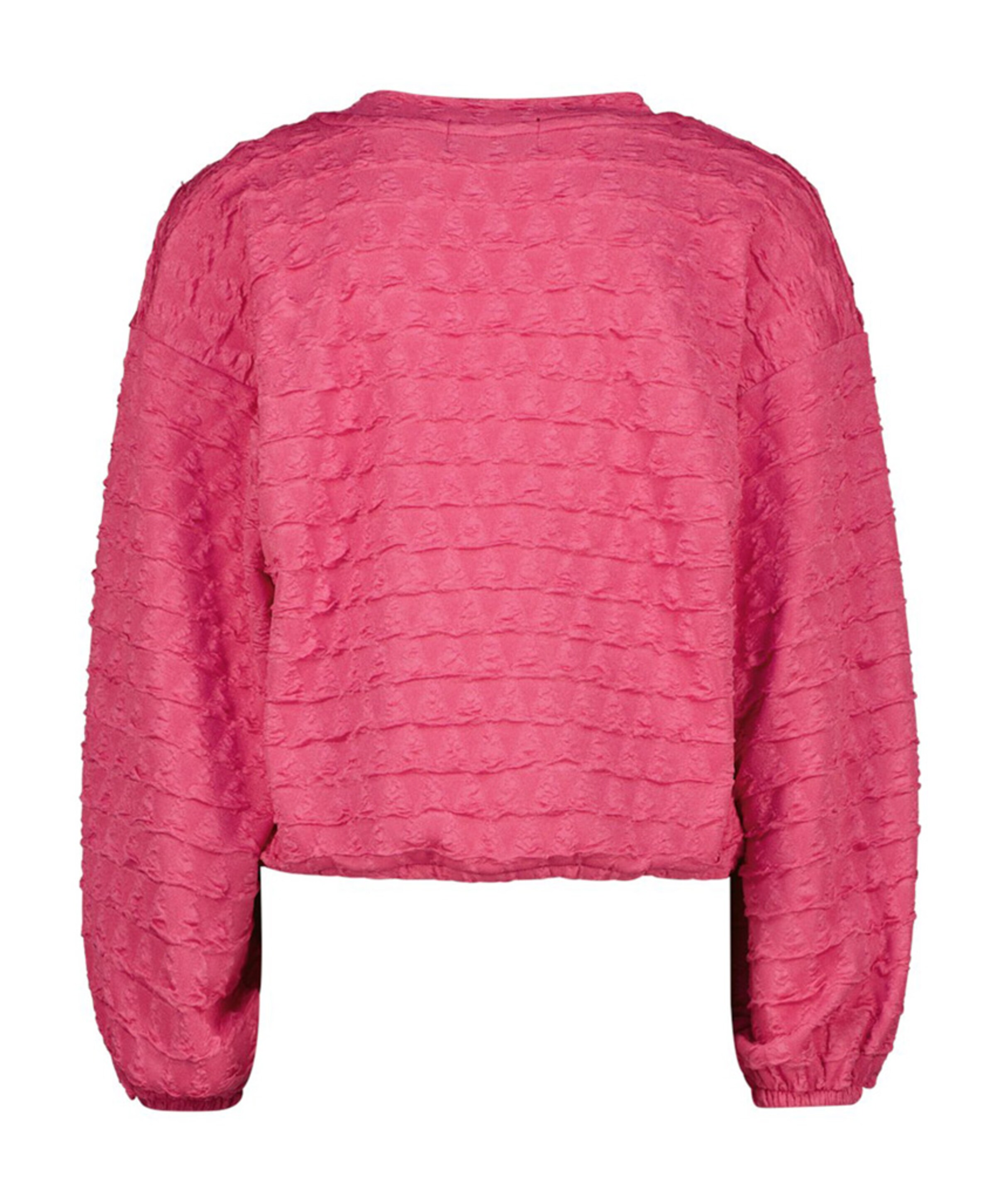 Raizzed Meisjes longsleeve roze