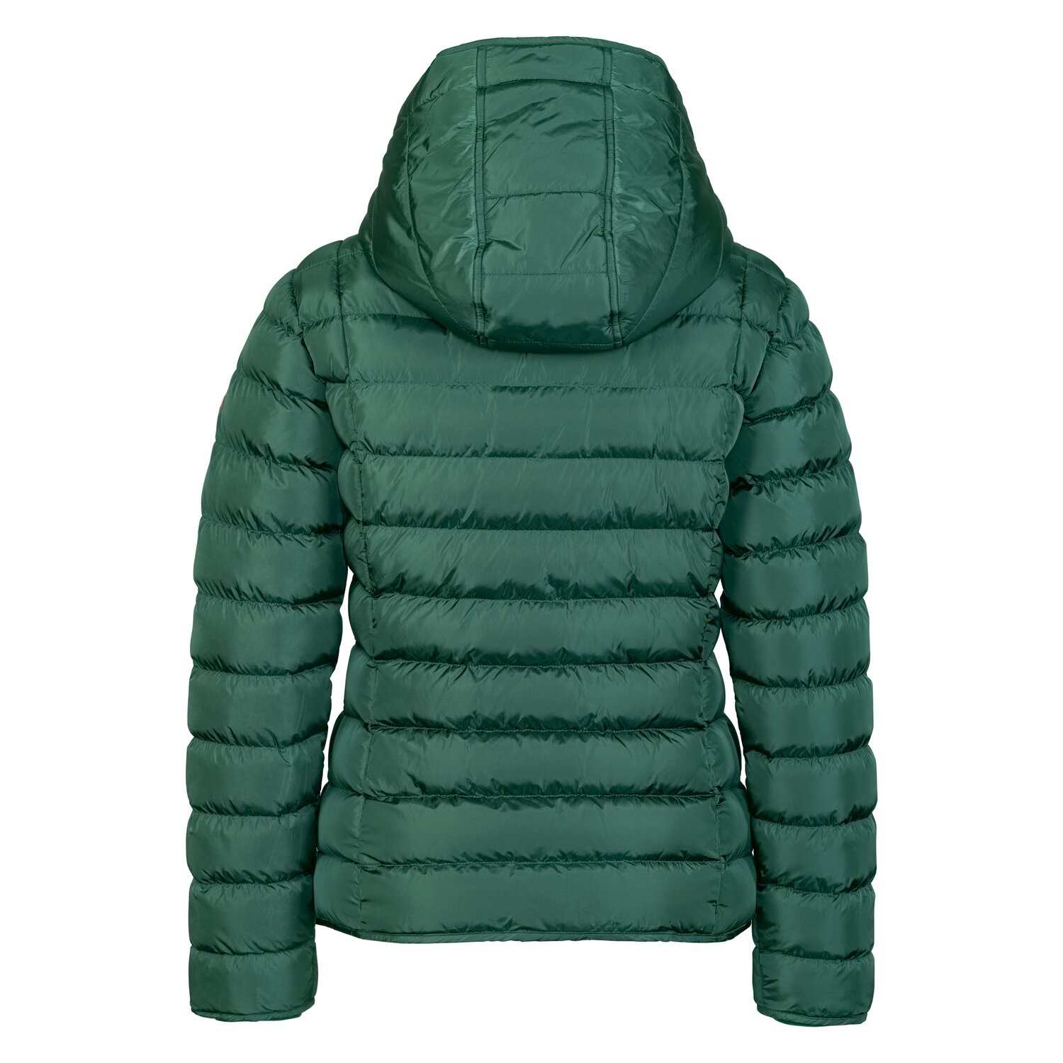 black forest Steppjacke mit Kapuze  - race green - XS