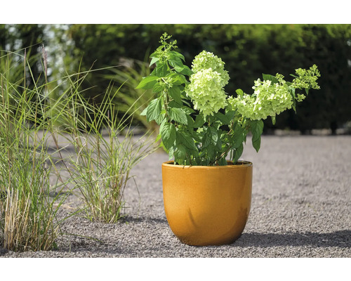 Lafiora Oslo klei plantenpot, Ø 30 cm, oker