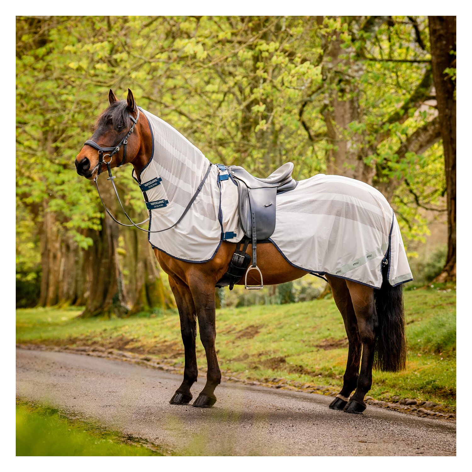 HORSEWARE Fliegenausreitdecke AMIGO Flyrider - chalk/navy