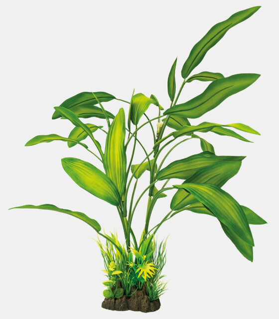 Superfish Art Plant 40cm Cryptocoryne | Aquarium planten
