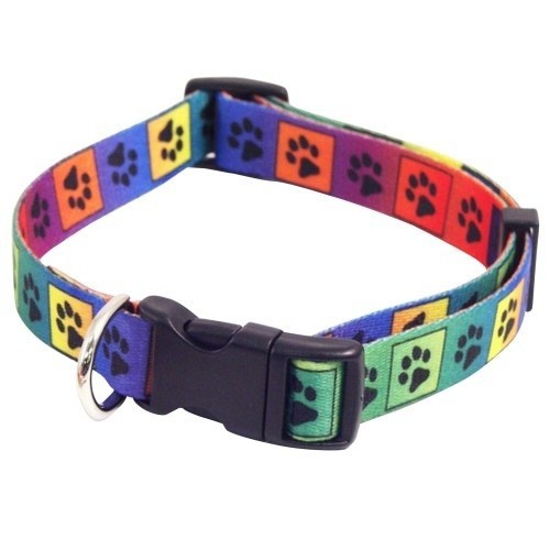 Colar ajustável Rosewood Wag N Walk multicolorido