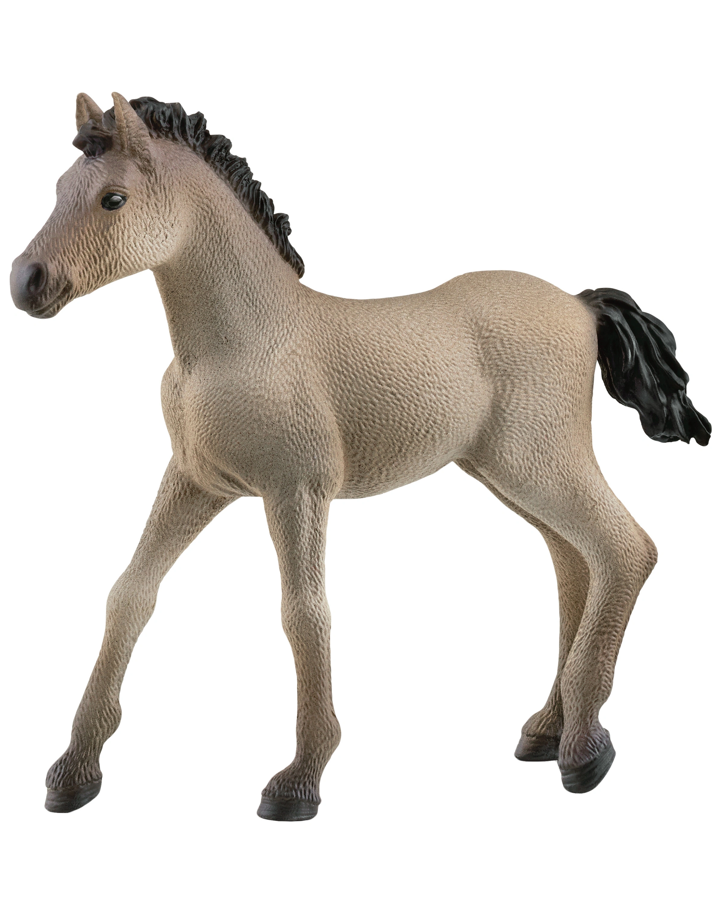 schleich® 13949 Horse Club - Criollo Definitivo Fohlen