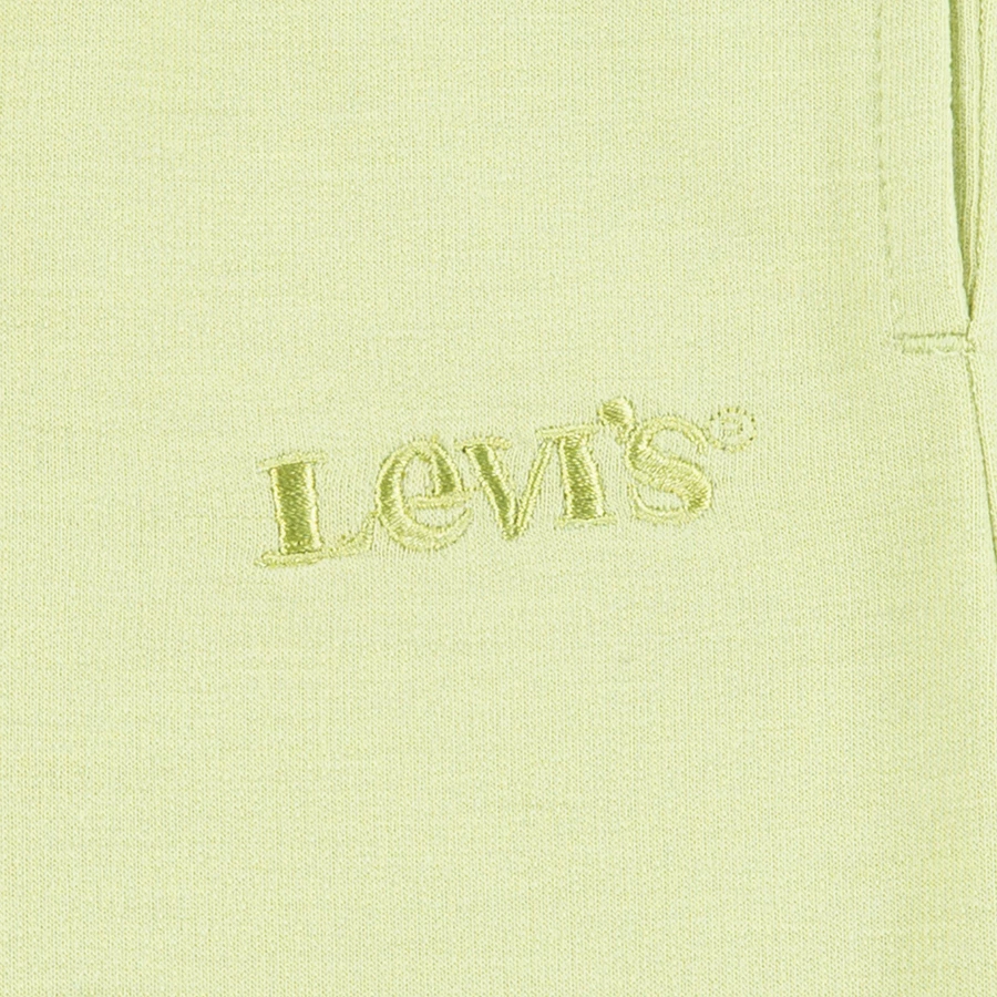 Levi's® Kids Boys Joggingshorts Nile Green