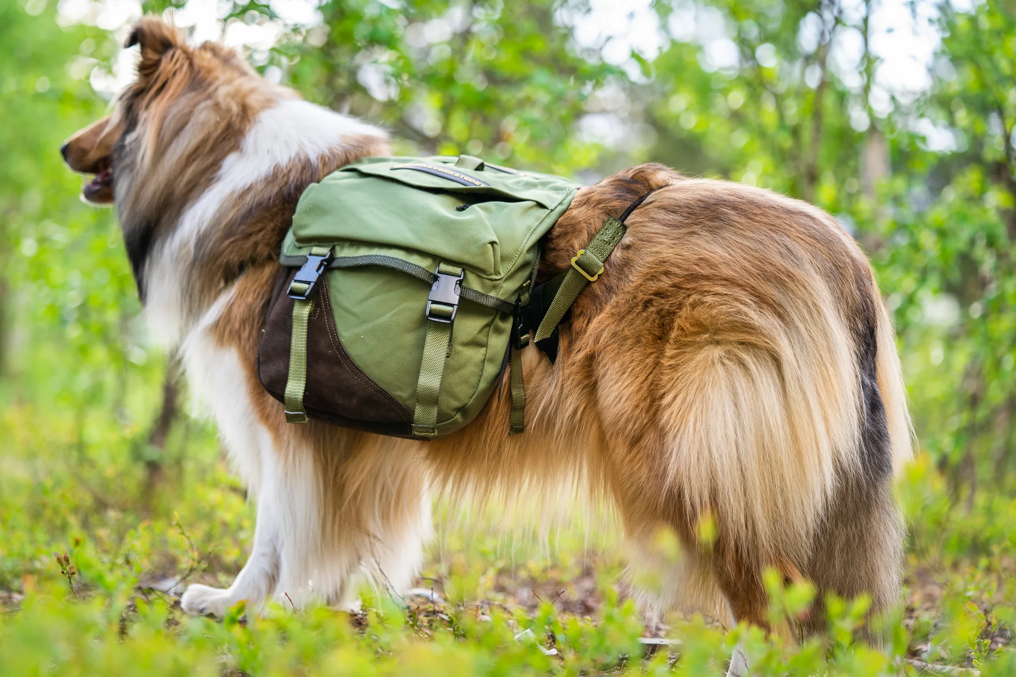 Seleverkstedet Togo hundekløv Grønn/brun S