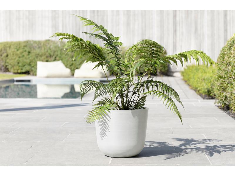 Ecopots Pflanzentopf Oslo 35, Weiss Robuster und langlebiger Blumentopf
