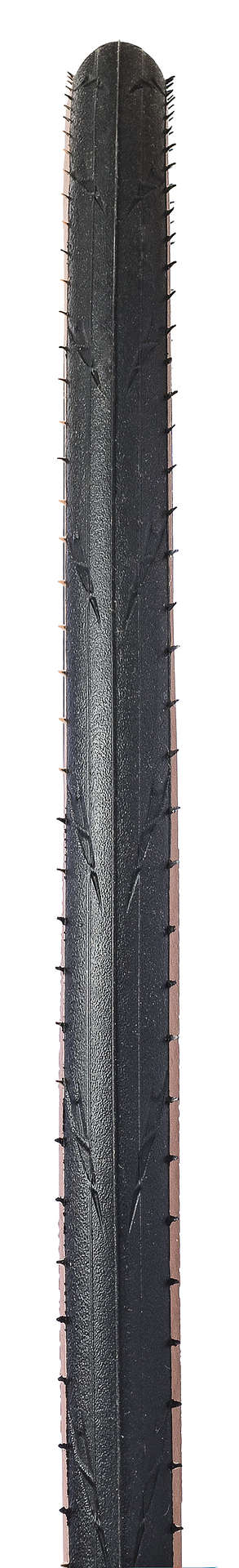Hutchinson Fusion 5 Performance Racefiets Band Zwart/Bruin